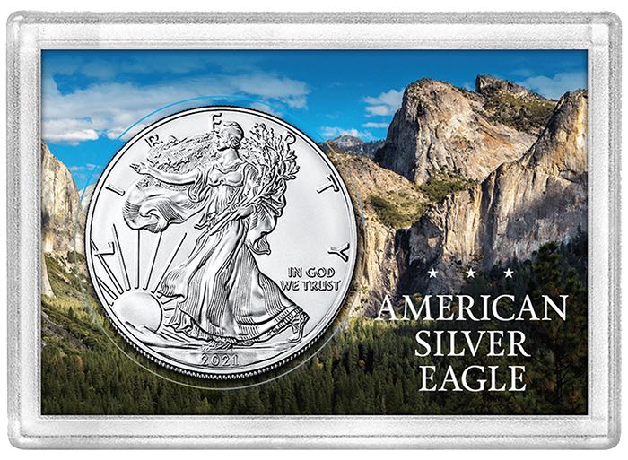 ASE Frosty Case - Mountain Forest