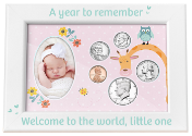 Babys First Year Coin & Photo Frame (Girl)